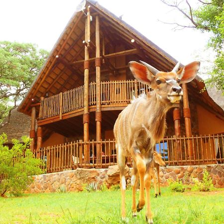 Kololo Game Reserve Vaalwater Dış mekan fotoğraf