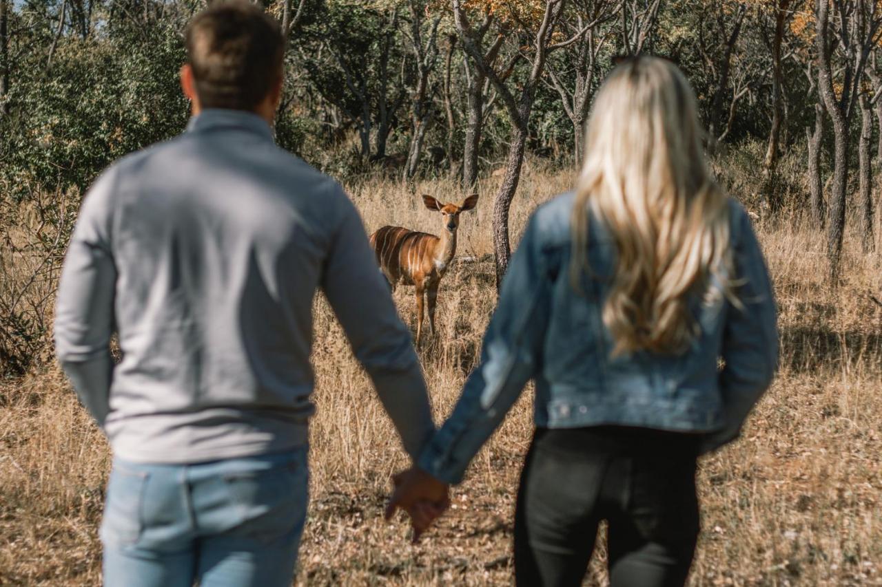 Kololo Game Reserve Vaalwater Dış mekan fotoğraf