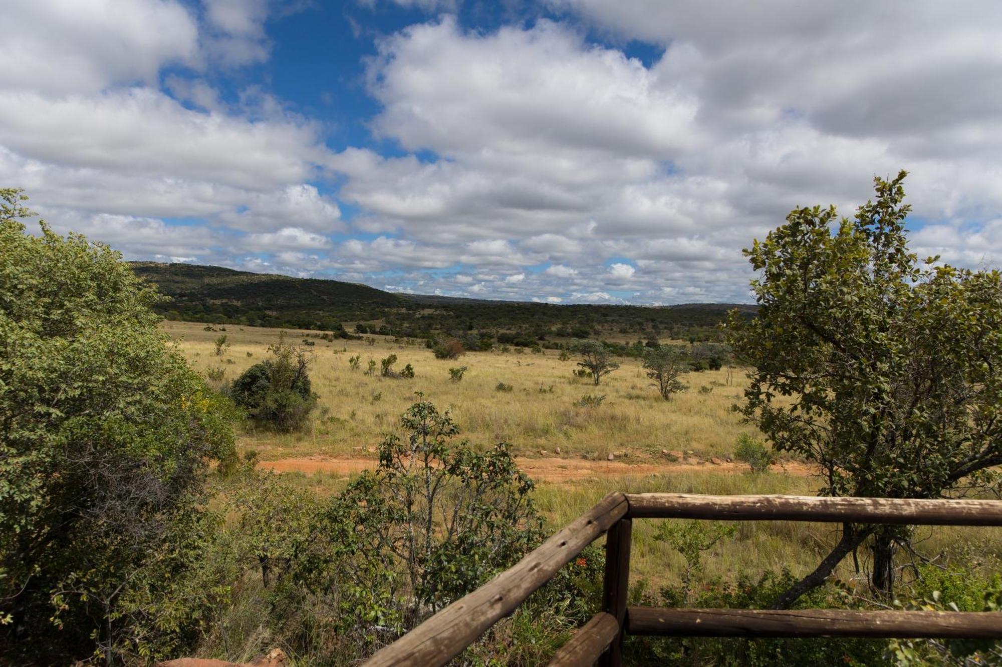 Kololo Game Reserve Vaalwater Dış mekan fotoğraf