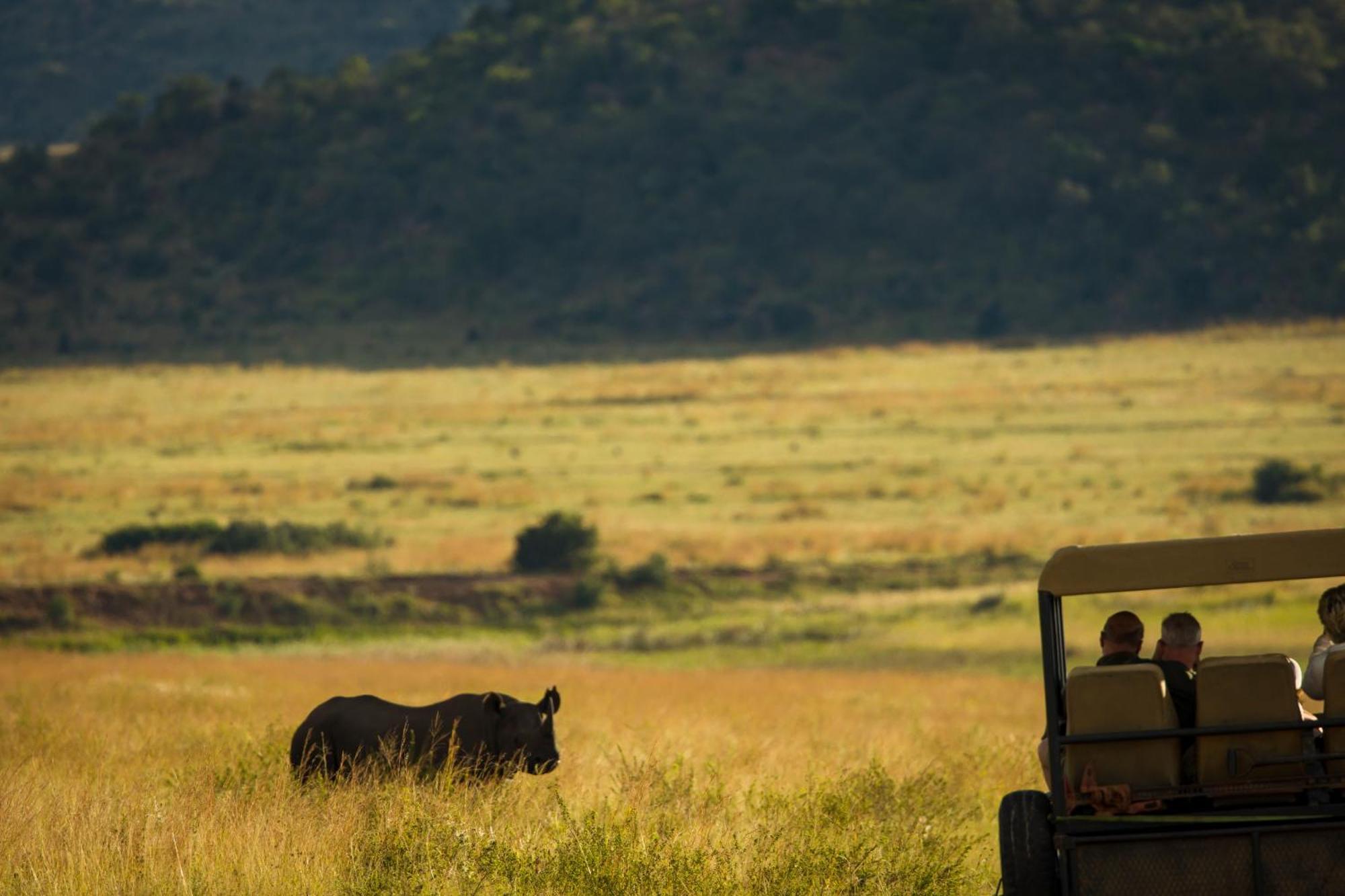 Kololo Game Reserve Vaalwater Dış mekan fotoğraf