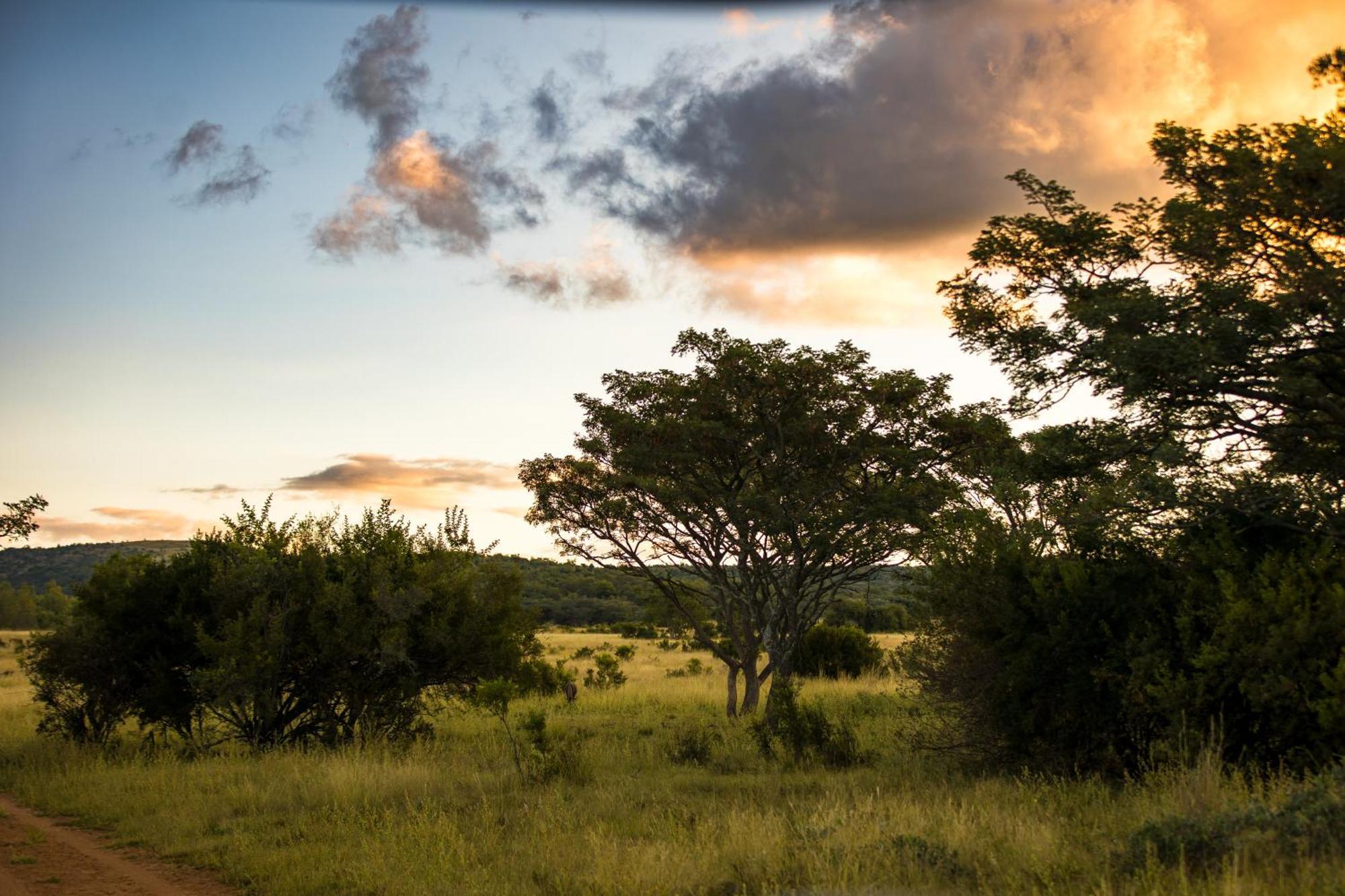 Kololo Game Reserve Vaalwater Dış mekan fotoğraf