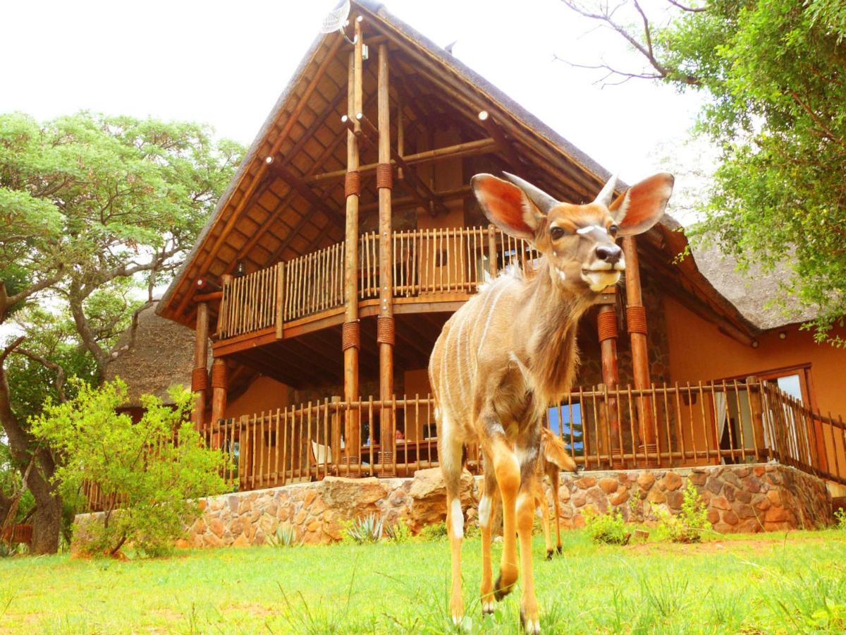 Kololo Game Reserve Vaalwater Dış mekan fotoğraf